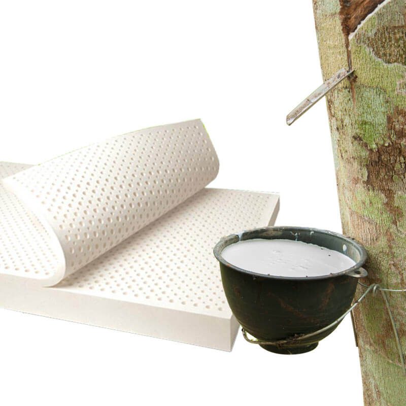 Talalay latex making process Talalay latex making process