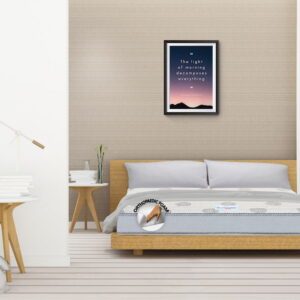 Spine-Support Spine-Support