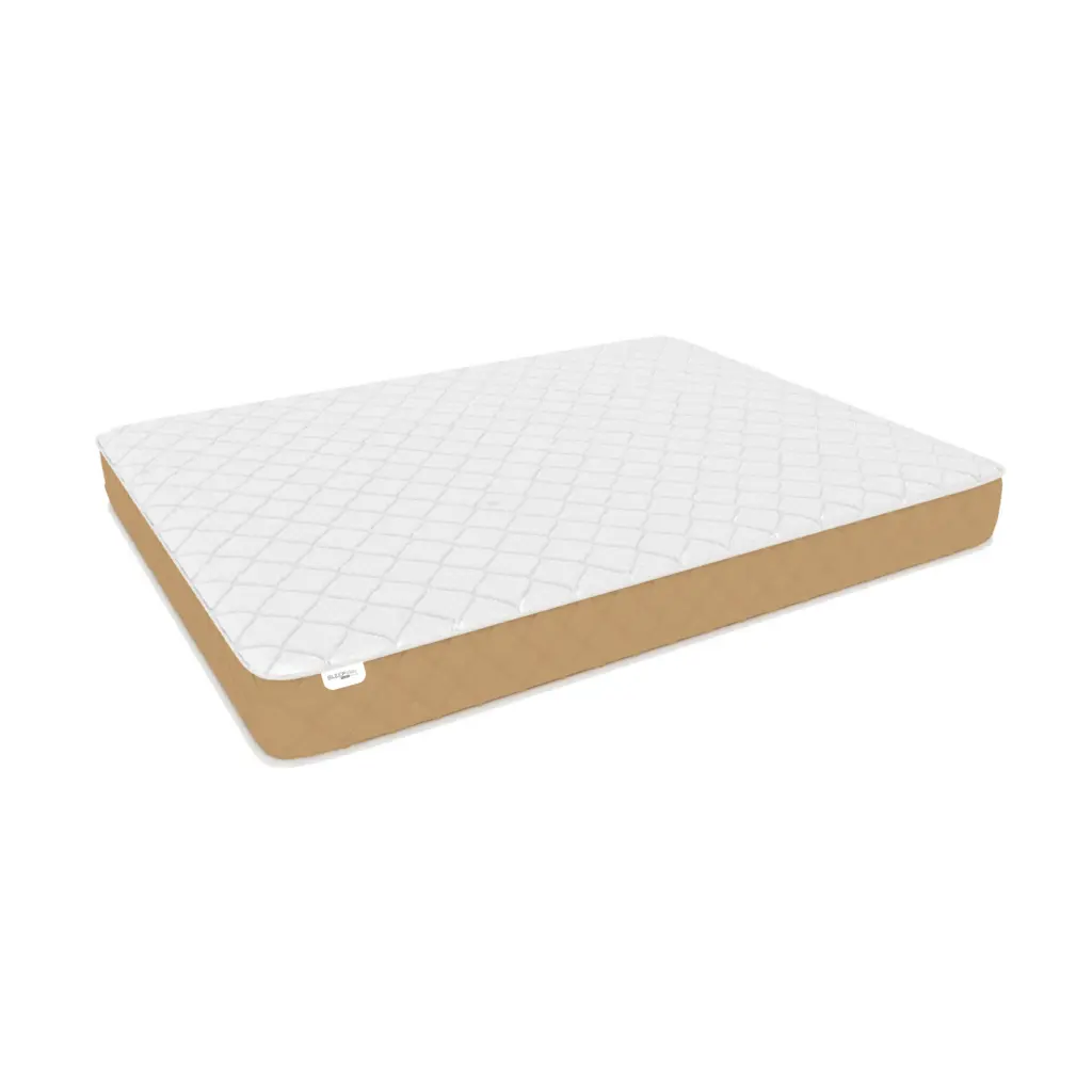 orthopaedic-memory-foam-mattress-1024x1024 Best Orthopaedic Mattress in India